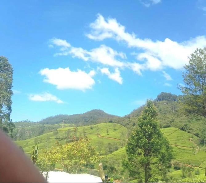 Nuwaraeliya Penthouse Apartment With Pool & Panaromic Views Nuwara Eliya Exterior foto